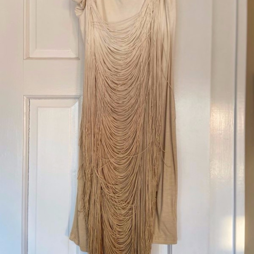 Young Rich and Fabulous Ombre Dress with Fringe